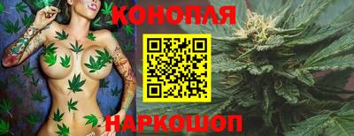 соль ск Камышлов